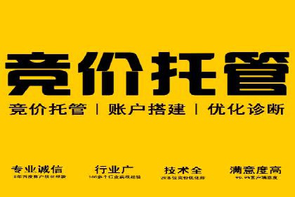 SEM代运营托管公司案例分享：精准营销策略的实践